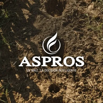 asprossemillas.com's icon