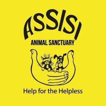 assisi-ni.org's icon