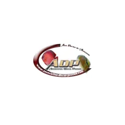 Association Discus Passion's icon