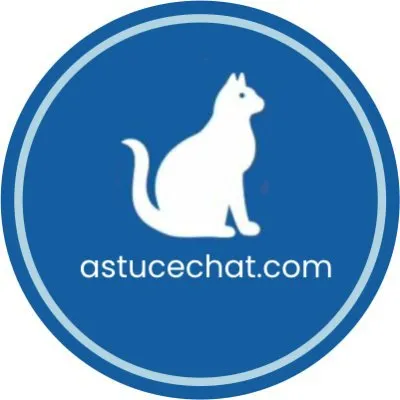 astucechat.com's icon