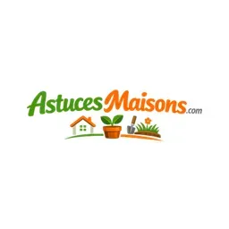 Astuces Maisons's icon