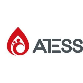 atesspower.com's icon
