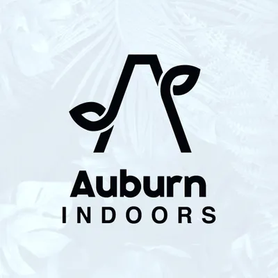 auburnindoors.gg's icon