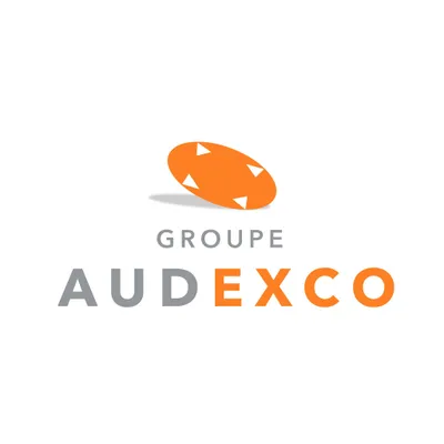 audexco.com's icon