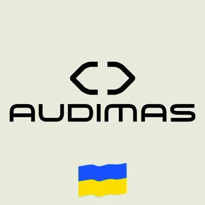 audimas.lt's icon