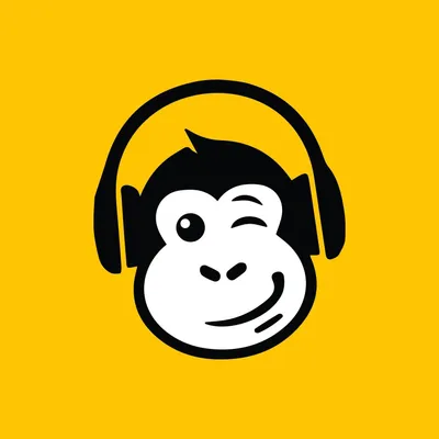 audiomonkey.ro's icon