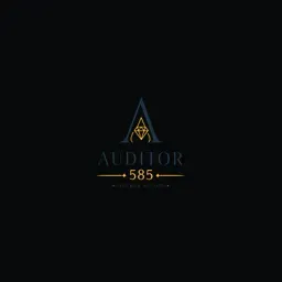 auditor585.com's icon
