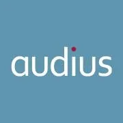 audius.de's icon