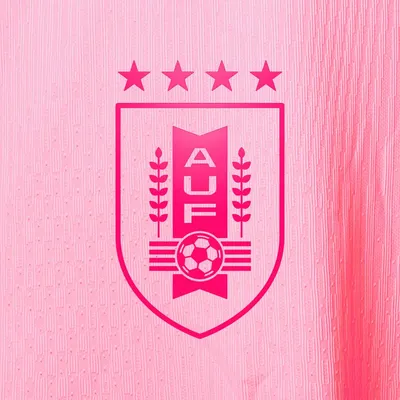 aufstore.uy's icon