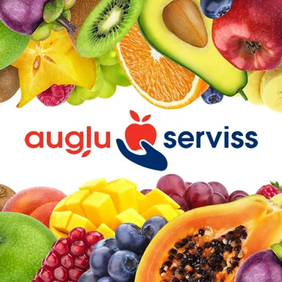 augluserviss.lv's icon