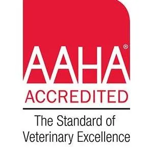 augustavalleyanimal.com's icon