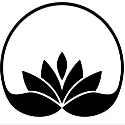 aurorawrc.com's icon