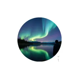 Aurora AI