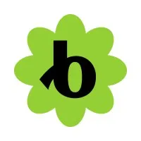 Bloomerang Auth Identity logo