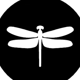 Automotywa sp. z o.o.