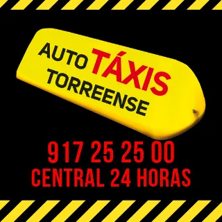 autotaxistorreense.com's icon