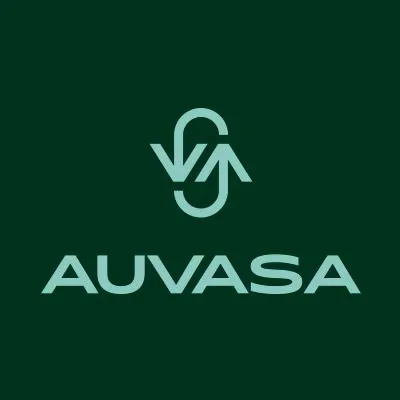 auvasa.es's icon