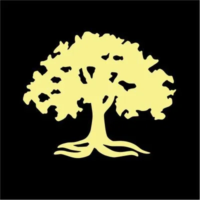 avalongcc.com's icon