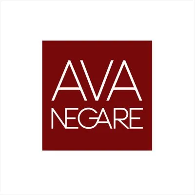 avanegare.com's icon