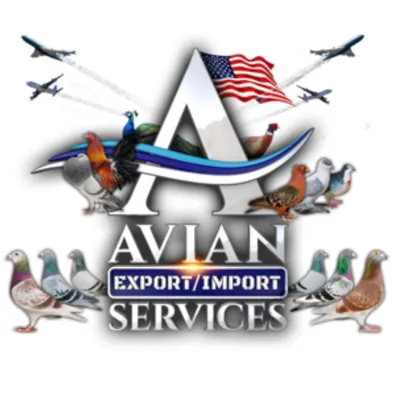 avianexportservices.com's icon