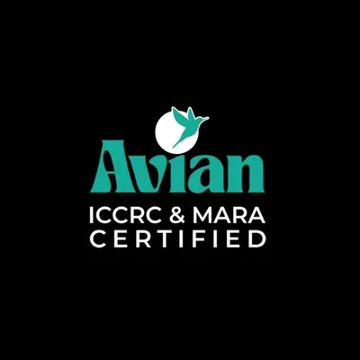 avianglobal.co's icon