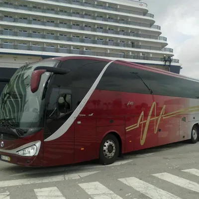 avintestour.pt's icon
