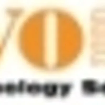 avo.com.my's icon