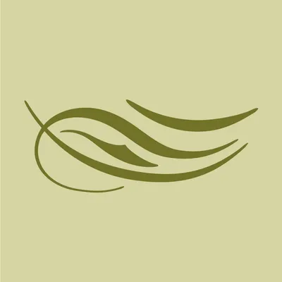 ayresdesalta.com.ar's icon