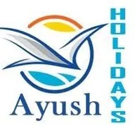 ayushholidays.com's icon