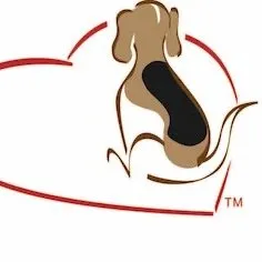 azbeaglerescue.com's icon