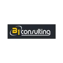 B1Consulting's icon