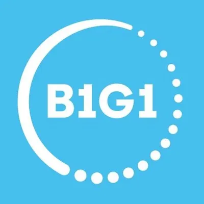 b1g1.com's icon