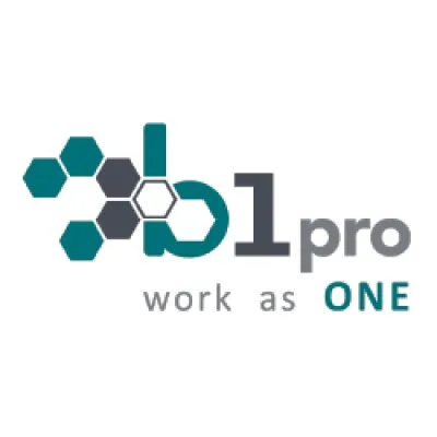 b1pro.com.mx's icon