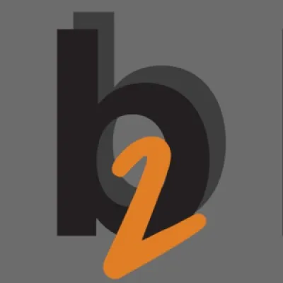 b2bsolutions.pro's icon