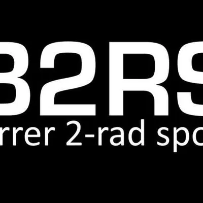 b2rs.ch's icon