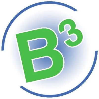 b3cashsolutions.com's icon
