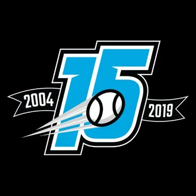 b45baseball.com's icon