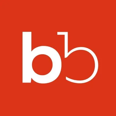 baanbreed.nl's icon