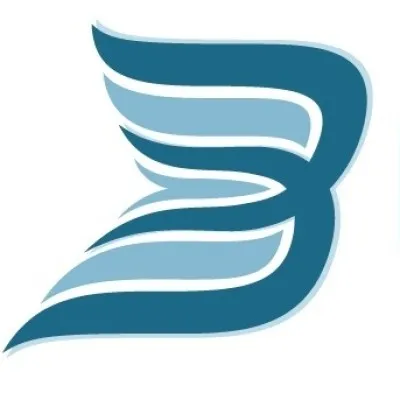 babilotomasyon.com's icon