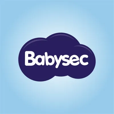 babysec.com.ar's icon