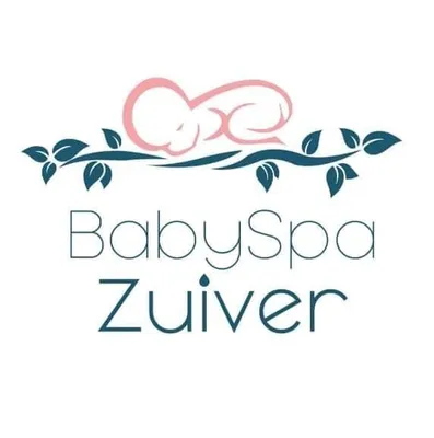 babyspazuiver.nl's icon