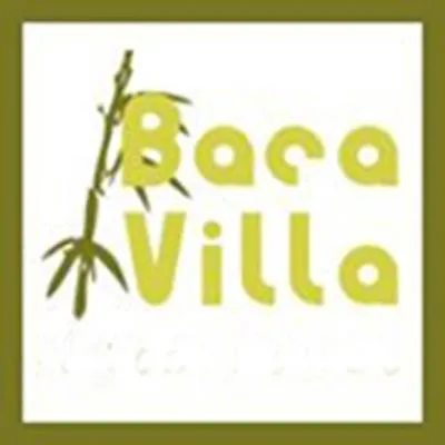 baca-villa.com's icon