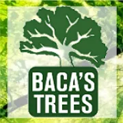 bacastrees.com's icon