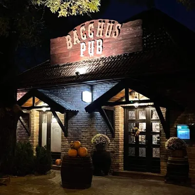 bacchuspub.hu's icon