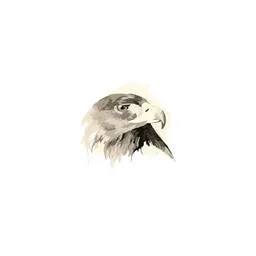 Backgroundscreeninginrussiacom's icon