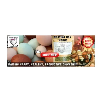 Backyard Chickens Mama's brand icon