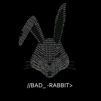 badrabbitsecurity.com's icon