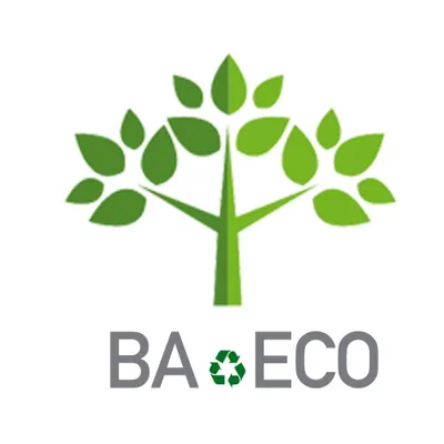 baeco.fr's icon