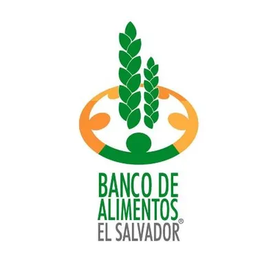 baes.org.sv's icon