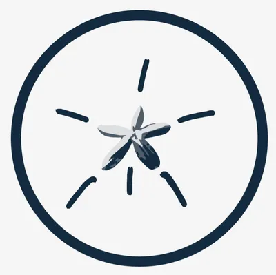 bahia-tours.com's icon